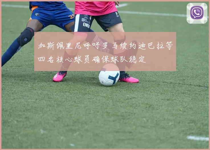 加斯佩里尼呼吁罗马续约迪巴拉等四名核心球员确保球队稳定