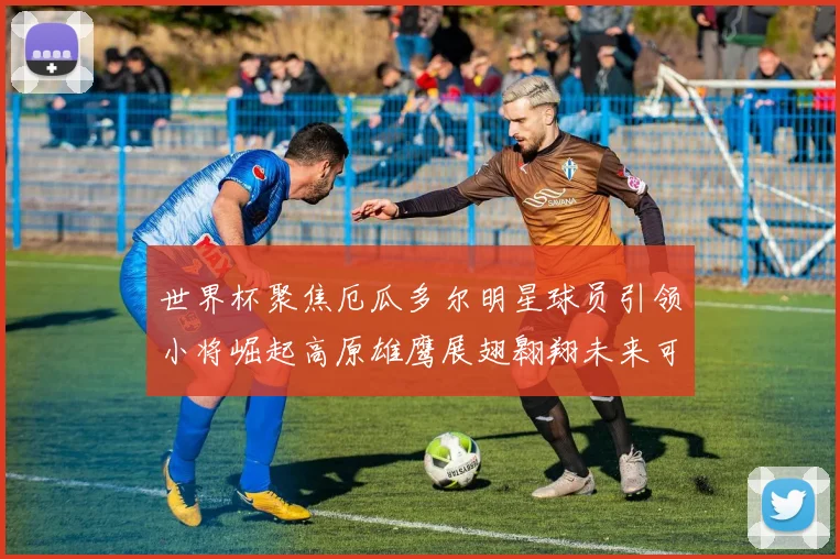 世界杯聚焦厄瓜多尔明星球员引领小将崛起高原雄鹰展翅翱翔未来可期